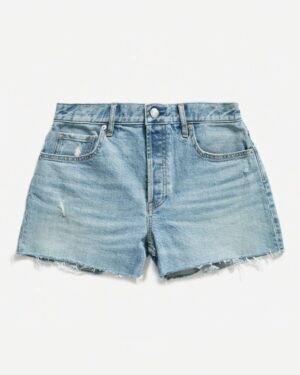 Everlane Denim Shorts